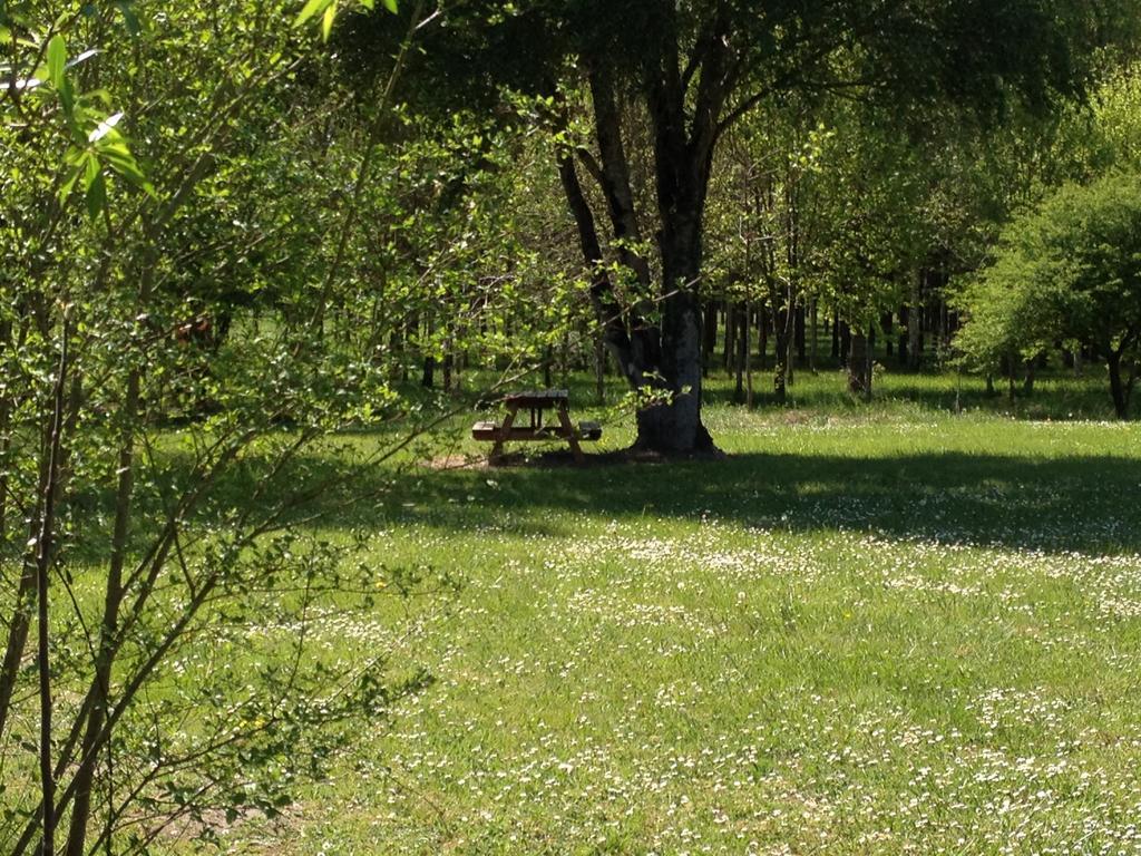 La Marelle Bed & Breakfast Avrillé-les-Ponceaux Стая снимка
