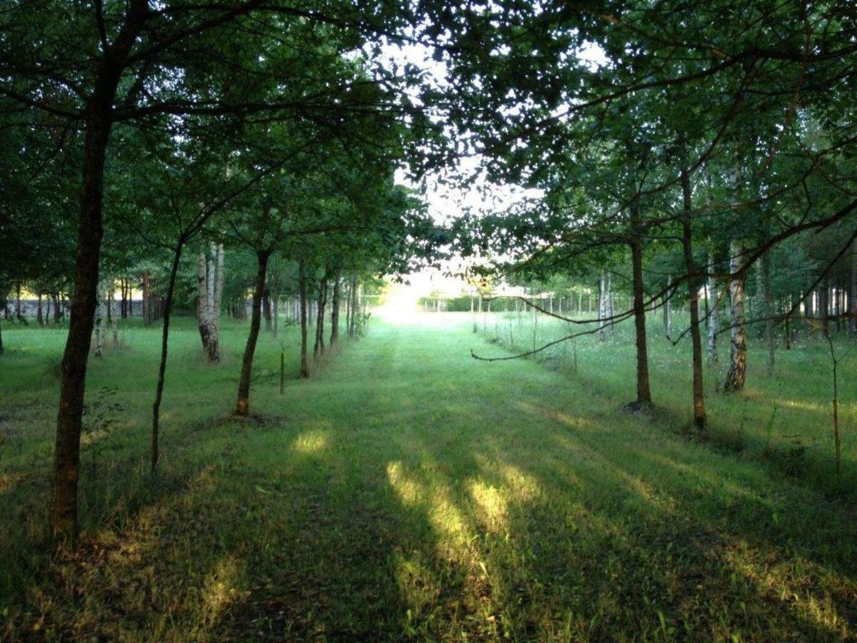 La Marelle Bed & Breakfast Avrillé-les-Ponceaux Екстериор снимка